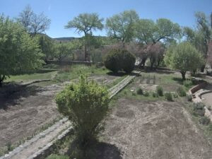 Georgia O'Keeffe's garden