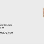 Typical Mexico Address Format