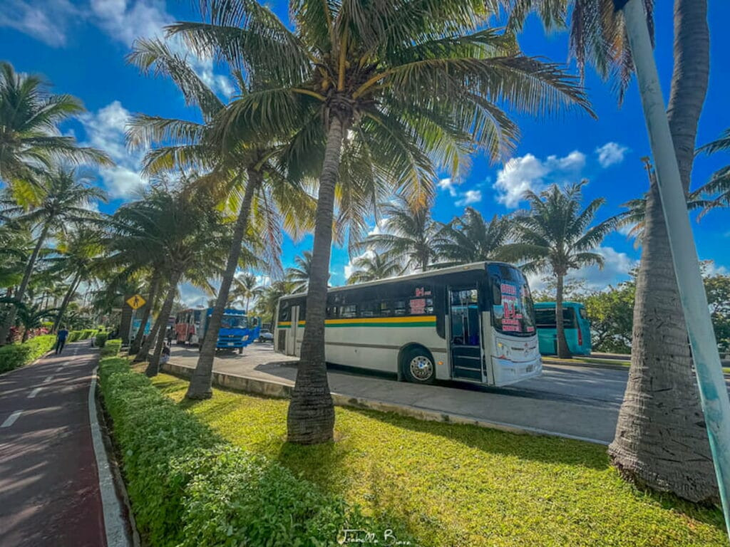 Bus on a busy road in Cancun Hotel Zone, highlighting the active urban environment.
