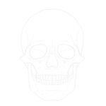 Basic skull outline for sugar skull drawing