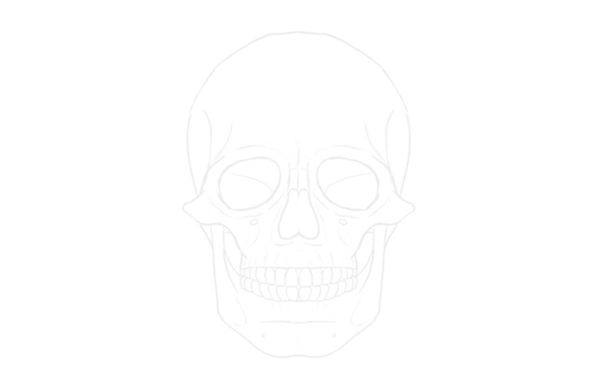 Basic skull outline for sugar skull drawing