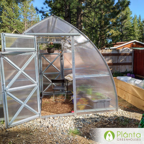 Two images showing greenhouse growth