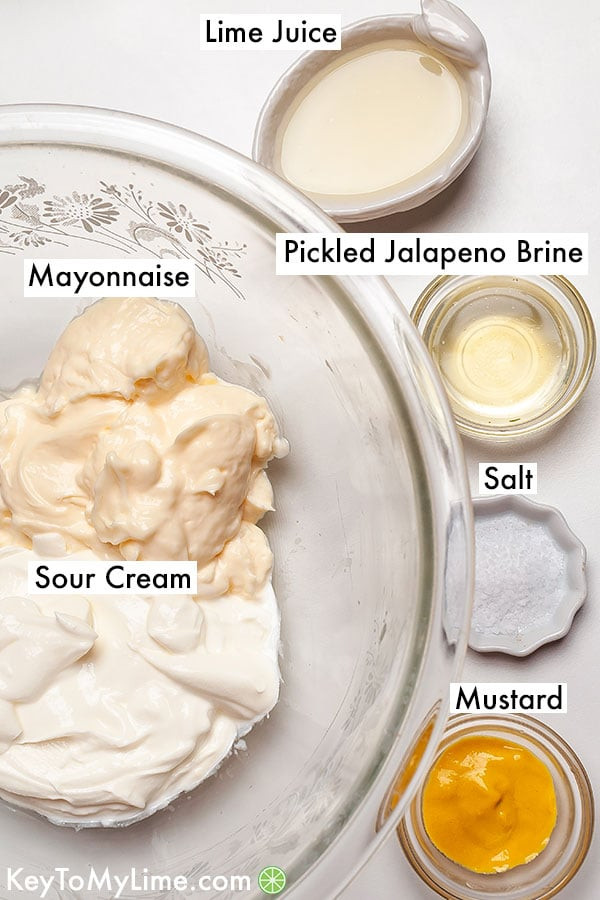 Ingredients for Mexican Chicken Salad Dressing