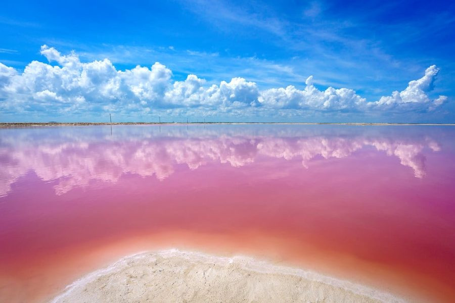 Las Coloradas Pink Lake Yucatan Peninsula Flamingos