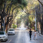 Leafy Streets Roma Norte Mexico City