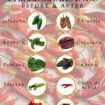 Assortment of colorful fresh and dried Mexican chili peppers
