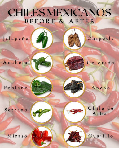 Assortment of colorful fresh and dried Mexican chili peppers