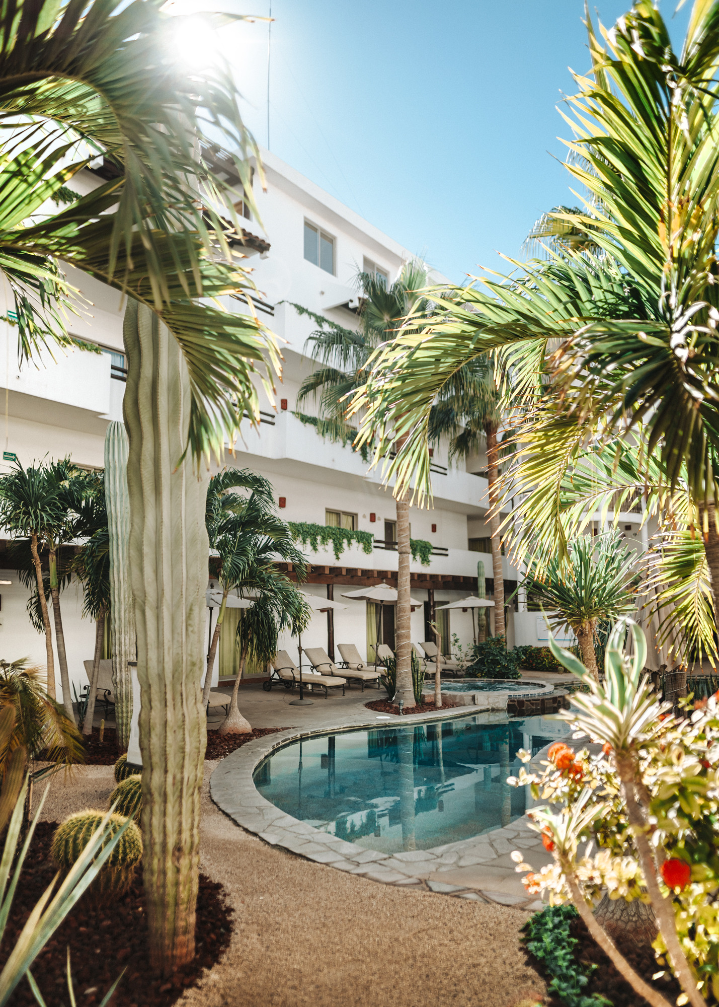 The pool at Hotel Santa Fe Loreto. A welcoming space for families to relax and enjoy their vacation.