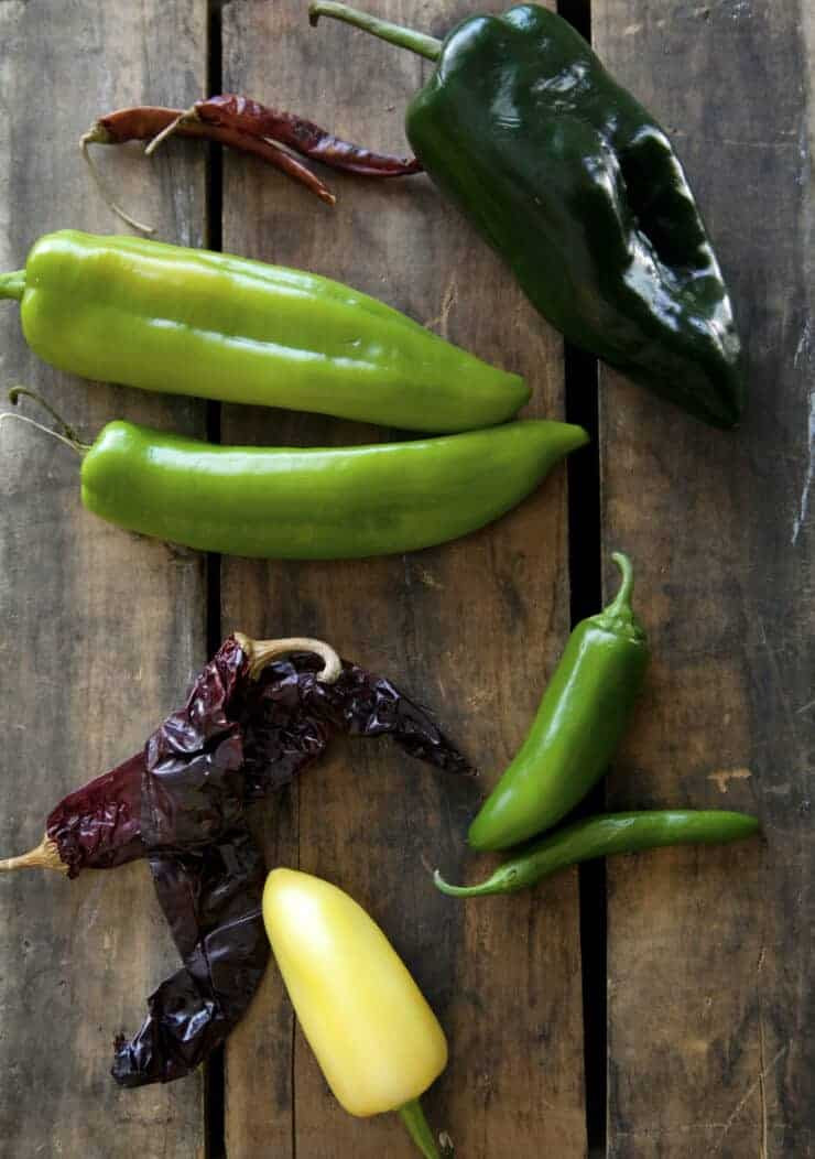overhead shot of a variety of mexican chiles types (aka chilis)