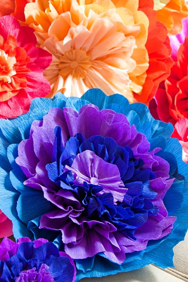 Mexican paper flowers used as decoration for a Dia de los Muertos altar