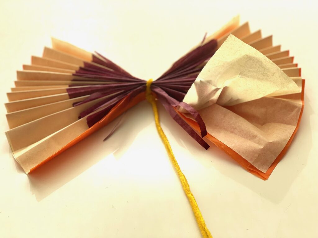 Pipe cleaner securing the center of folded tissue paper