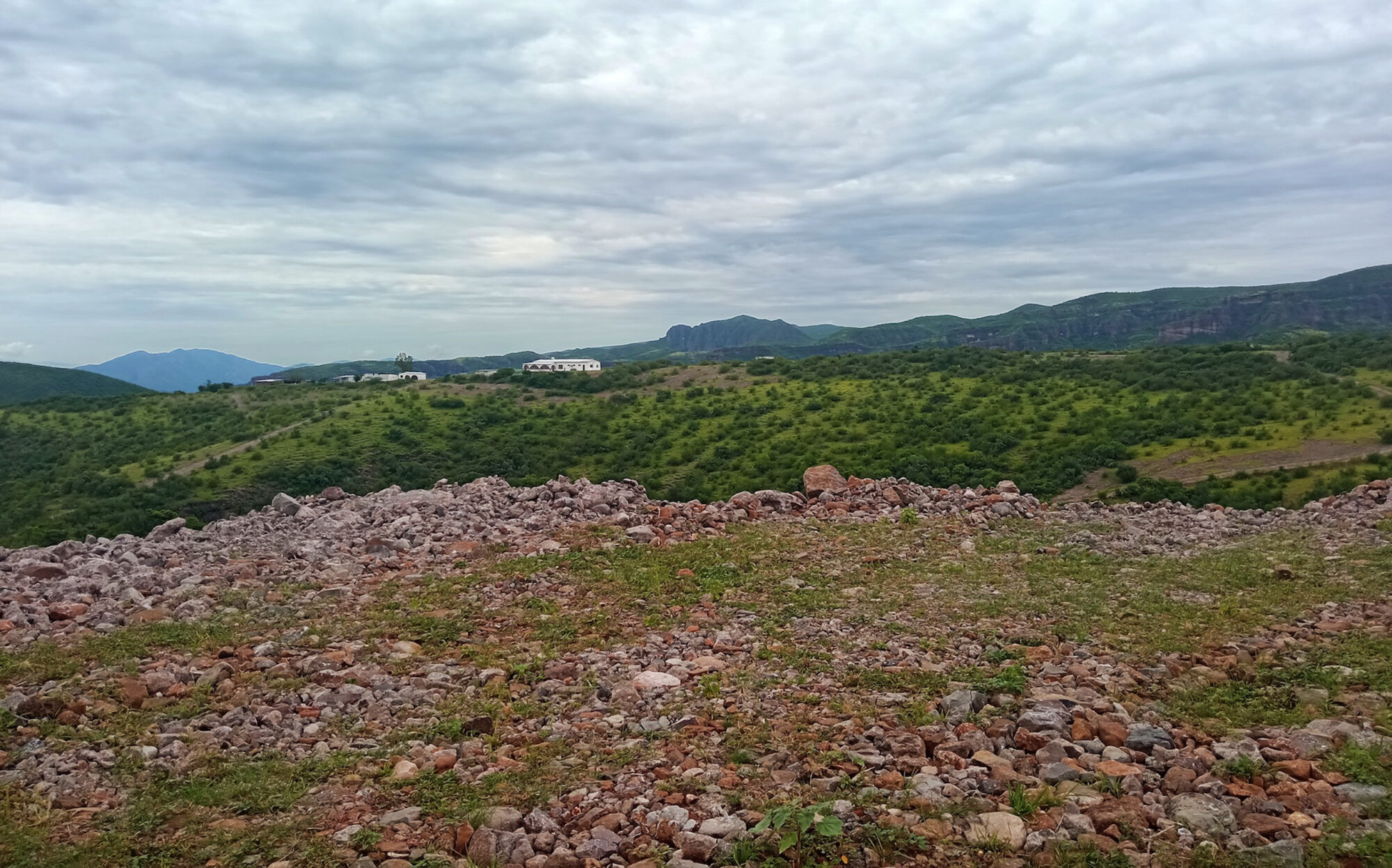 Lithium site