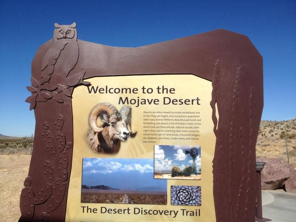 Desert landscape showcasing the arid environment typical of the Mojave Desert, with clear blue skies and distant mountains.