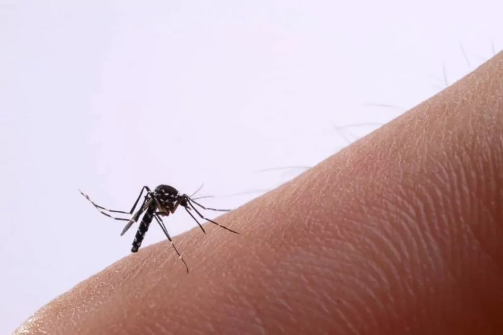 Woman applying mosquito repellent on Isla Mujeres