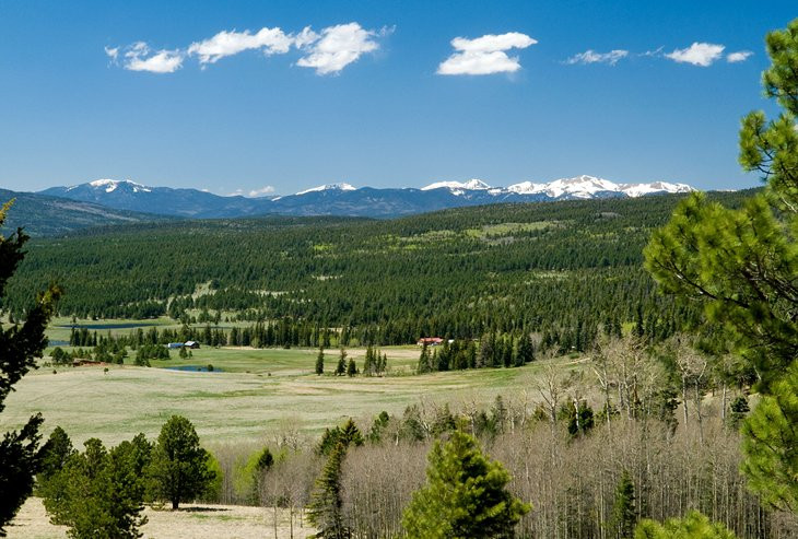 Wheeler Peak Wilderness, showcasing a rugged mountain landscape with alpine vegetation