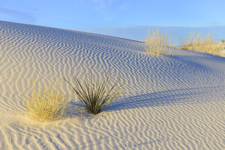 White Sands National Monument, New Mexico, showcasing vast white gypsum sand dunes