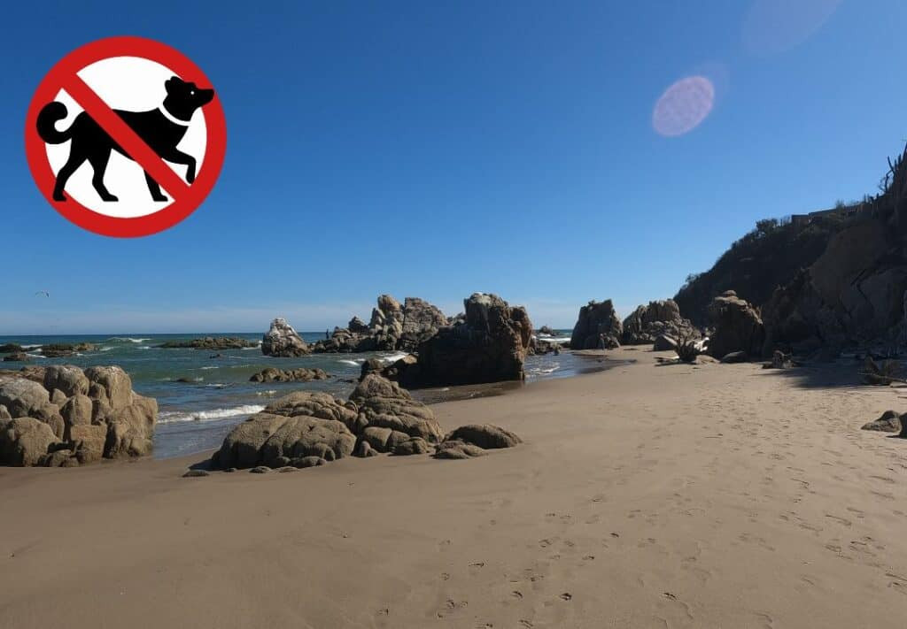 No Dogs