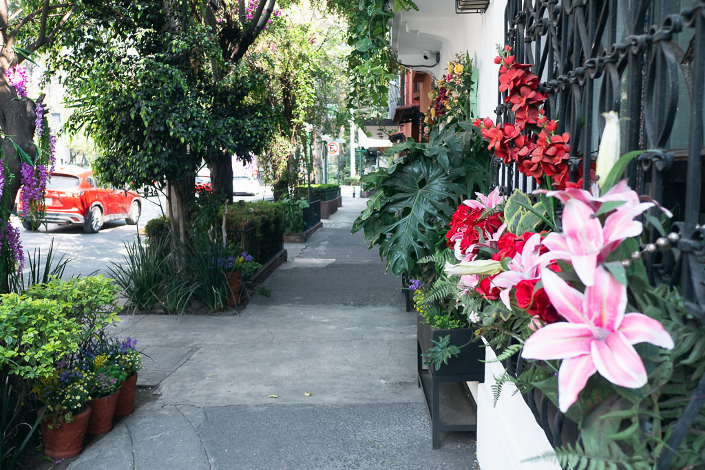 Flower-lined streets in Roma