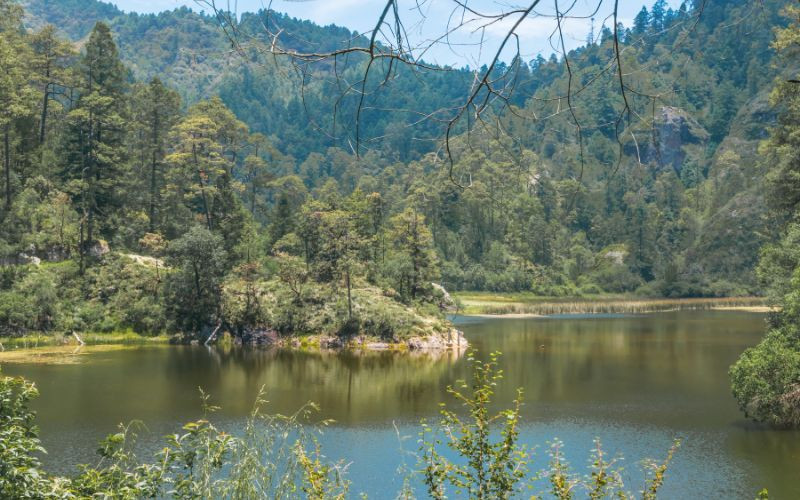 Lake in Parque Nacional Lagunas de Zempoala
