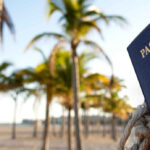 US passport tied to a palm tree on a beach