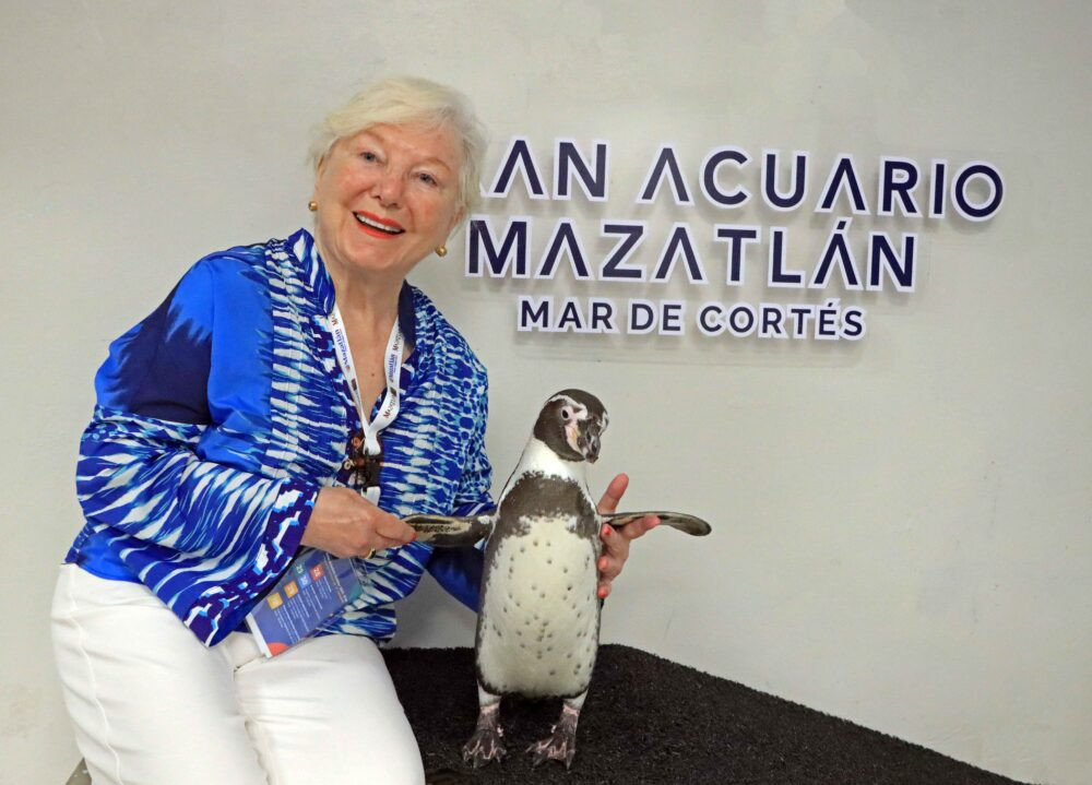 Humboldt penguins at Gran Acuario Mazatlán in Mexico.