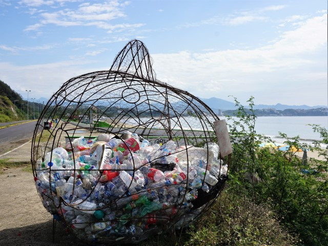 PETZ recycling fish Manzanillo