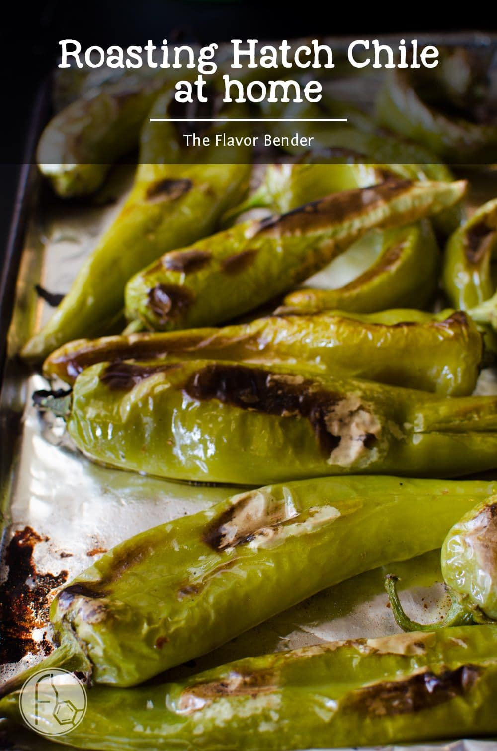Roasted Hatch chiles with blistered skin on a baking sheet ready to be used in various dishes.