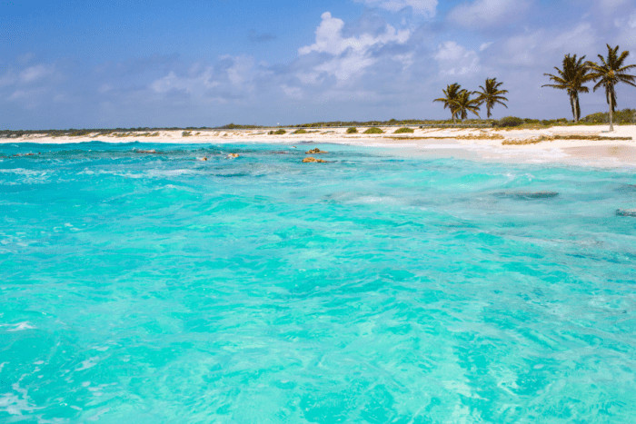 Cozumel, Mexico, a serene island paradise with turquoise waters and a vibrant underwater ecosystem, known for its safety and pristine beaches