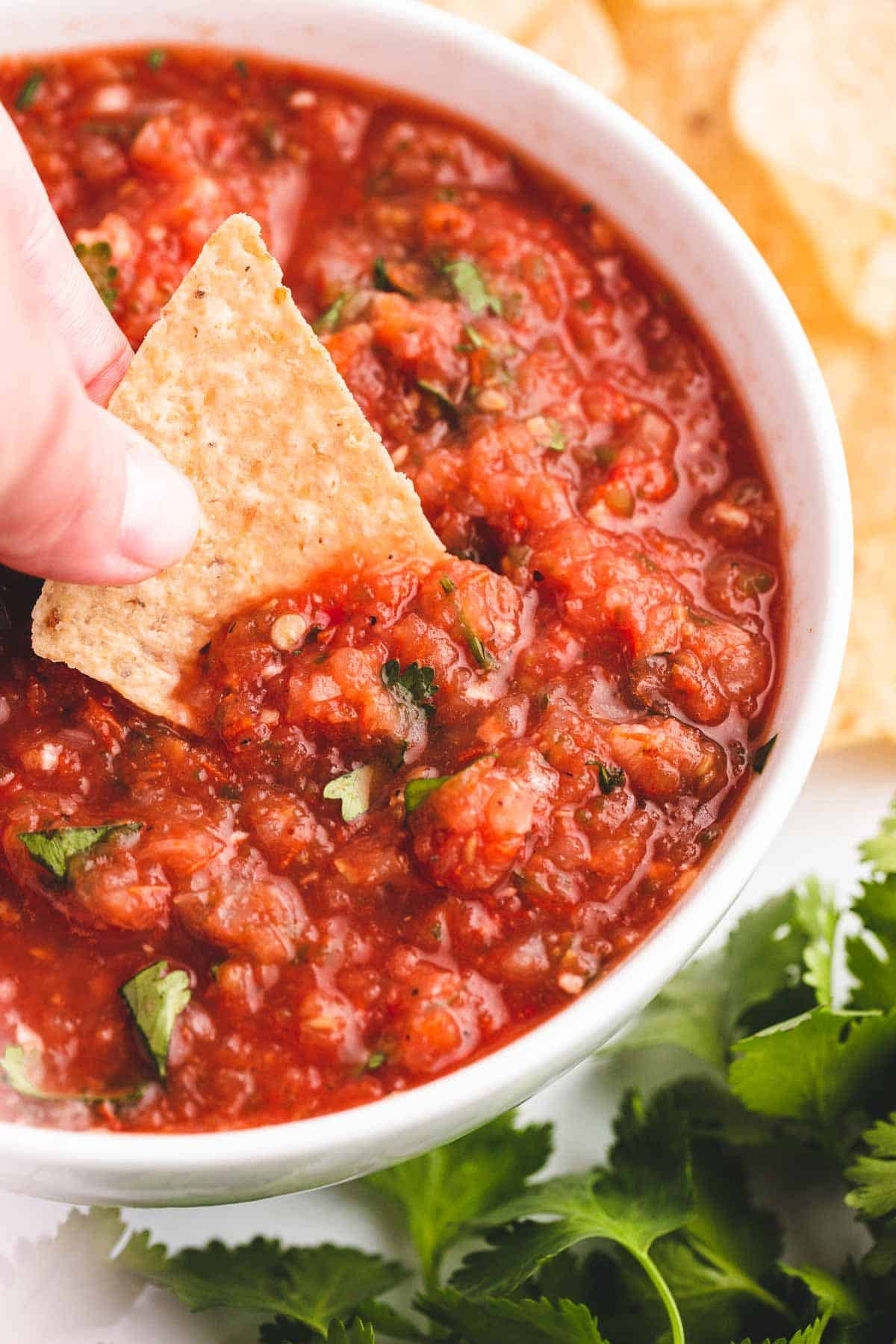 Salsa recipe i heart naptime
