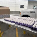seized carton of eggs from Mexico