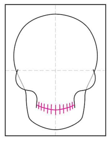 Sketching teeth lines on the skull