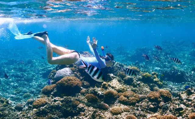 A vibrant underwater scene in Tecolutla Beach, Veracruz, showcasing the rich marine biodiversity and coral formations, inviting snorkelers and divers to explore its depths.