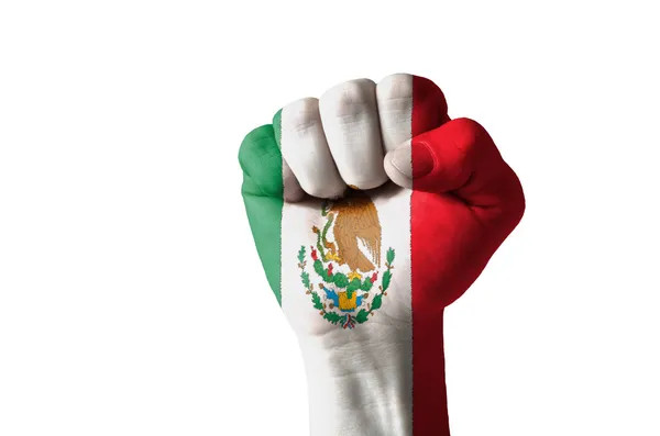 A fist painted in the colors of the Mexican flag, symbolizing LGBTQ+ pride and the fight for equality