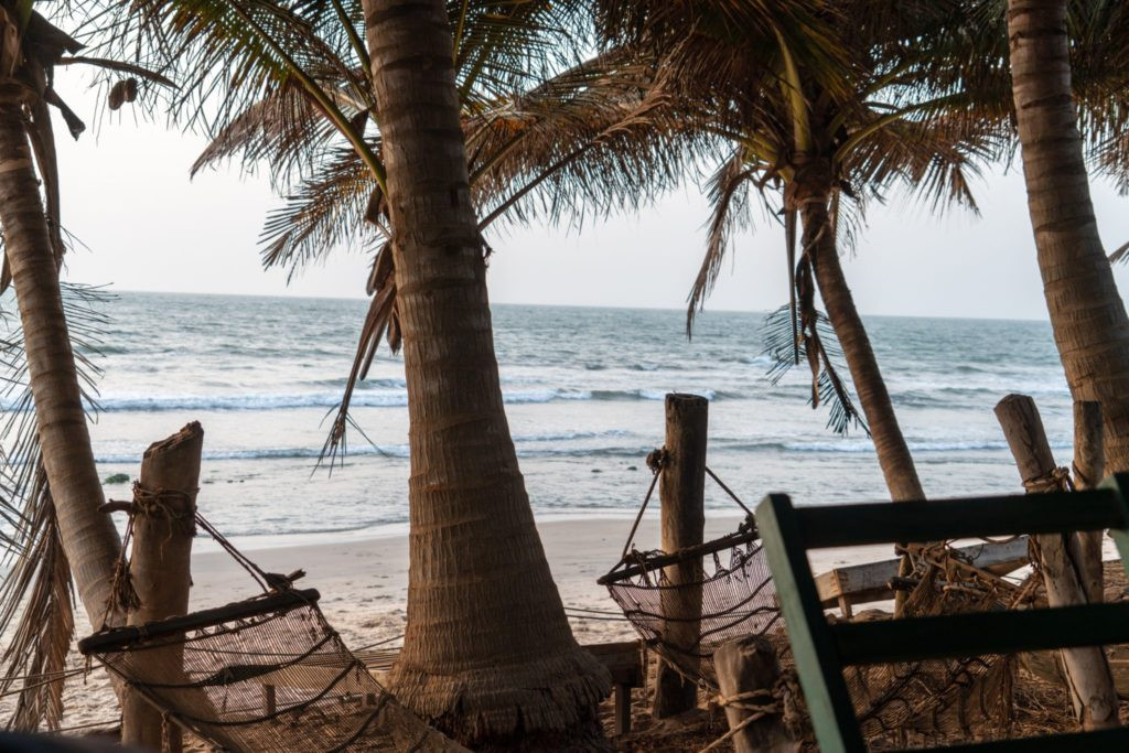 two brown hammock hanged in coconut trees in front seat