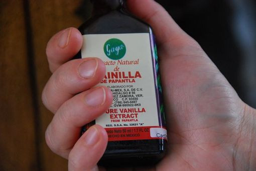 Vanilla Bottle-thumb-510x342-531