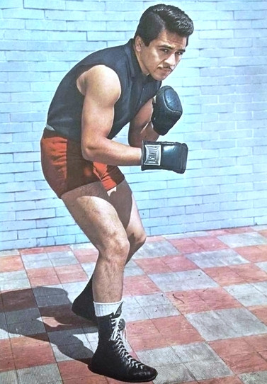Vicente Saldivar