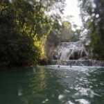 Lacandon Jungle in Chiapas, Mexico
