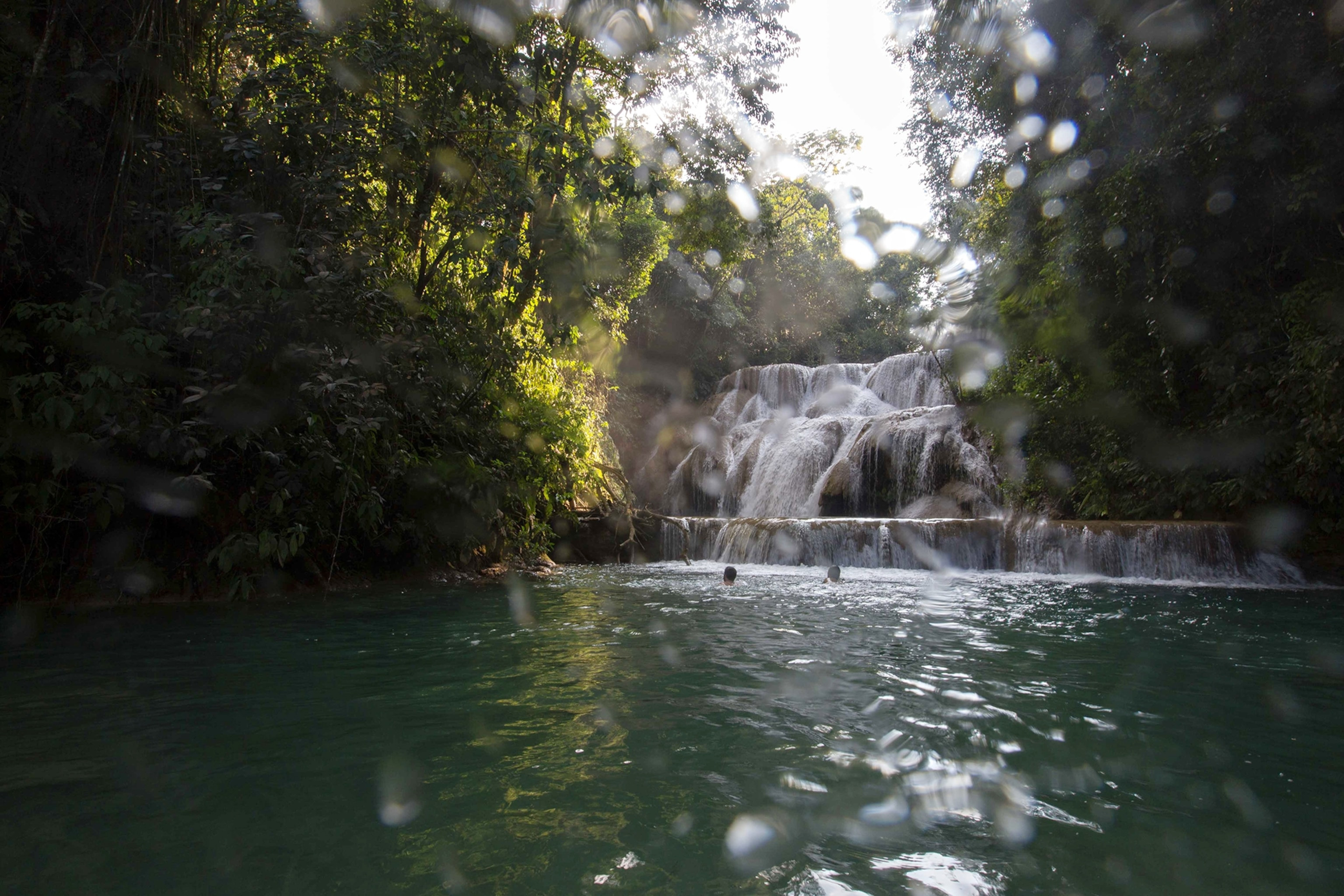 Lacandon Jungle in Chiapas, Mexico