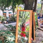 woman in mirror in the park for where to stay in mexico city