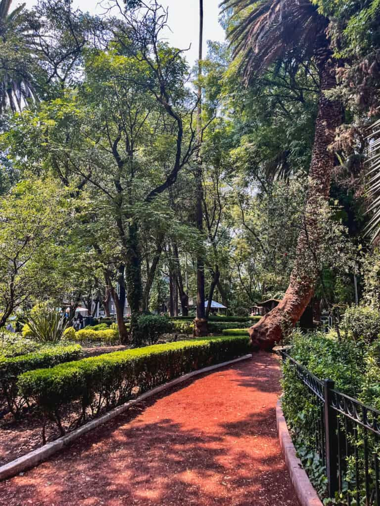 parque mexico for where to stay in mexico city